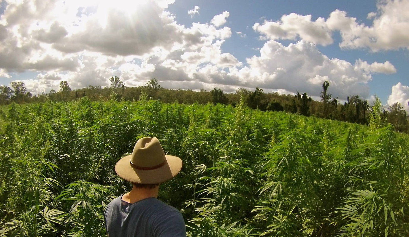 Hemp Farms Australia